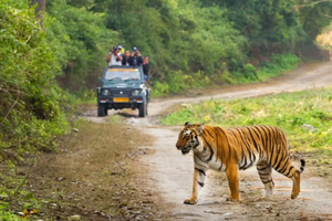 Jim Corbett